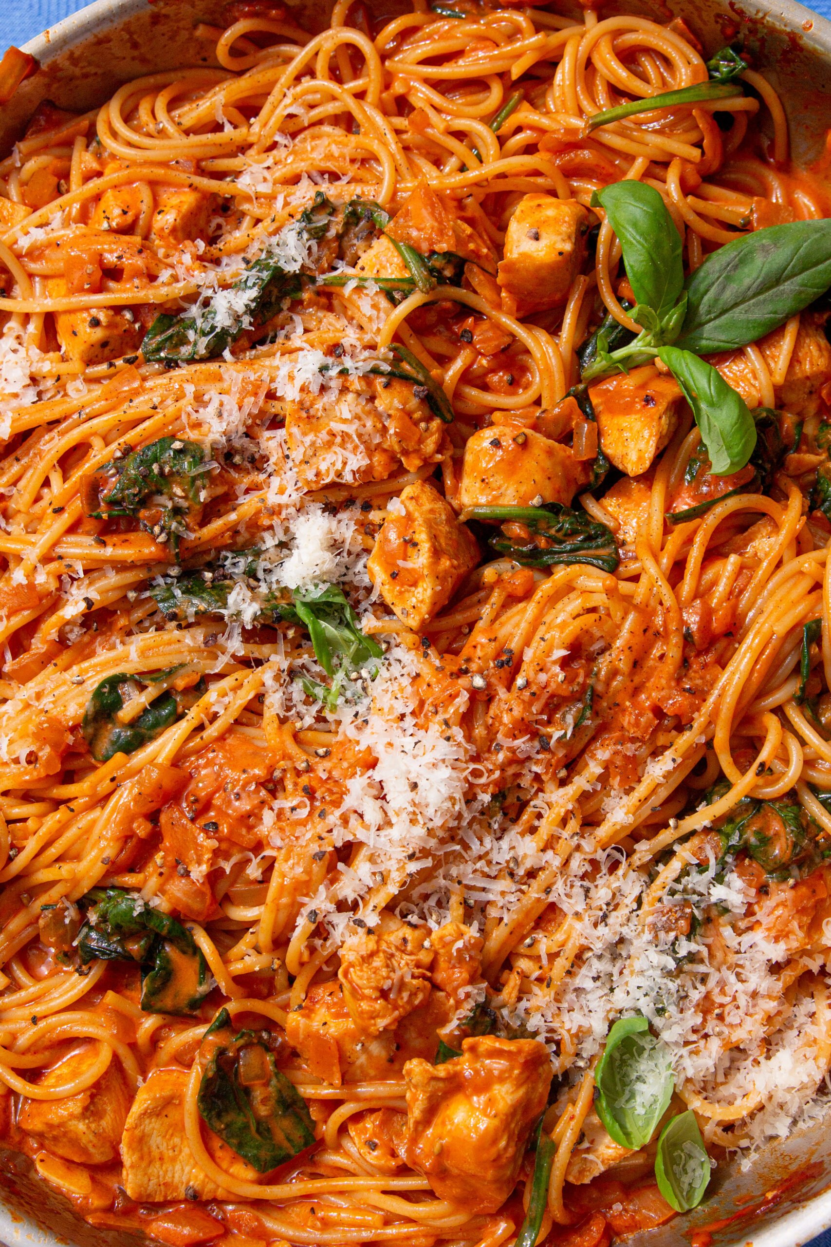 close up of chicken spaghetti topped with parmesan cheese and a fresh basil leaf