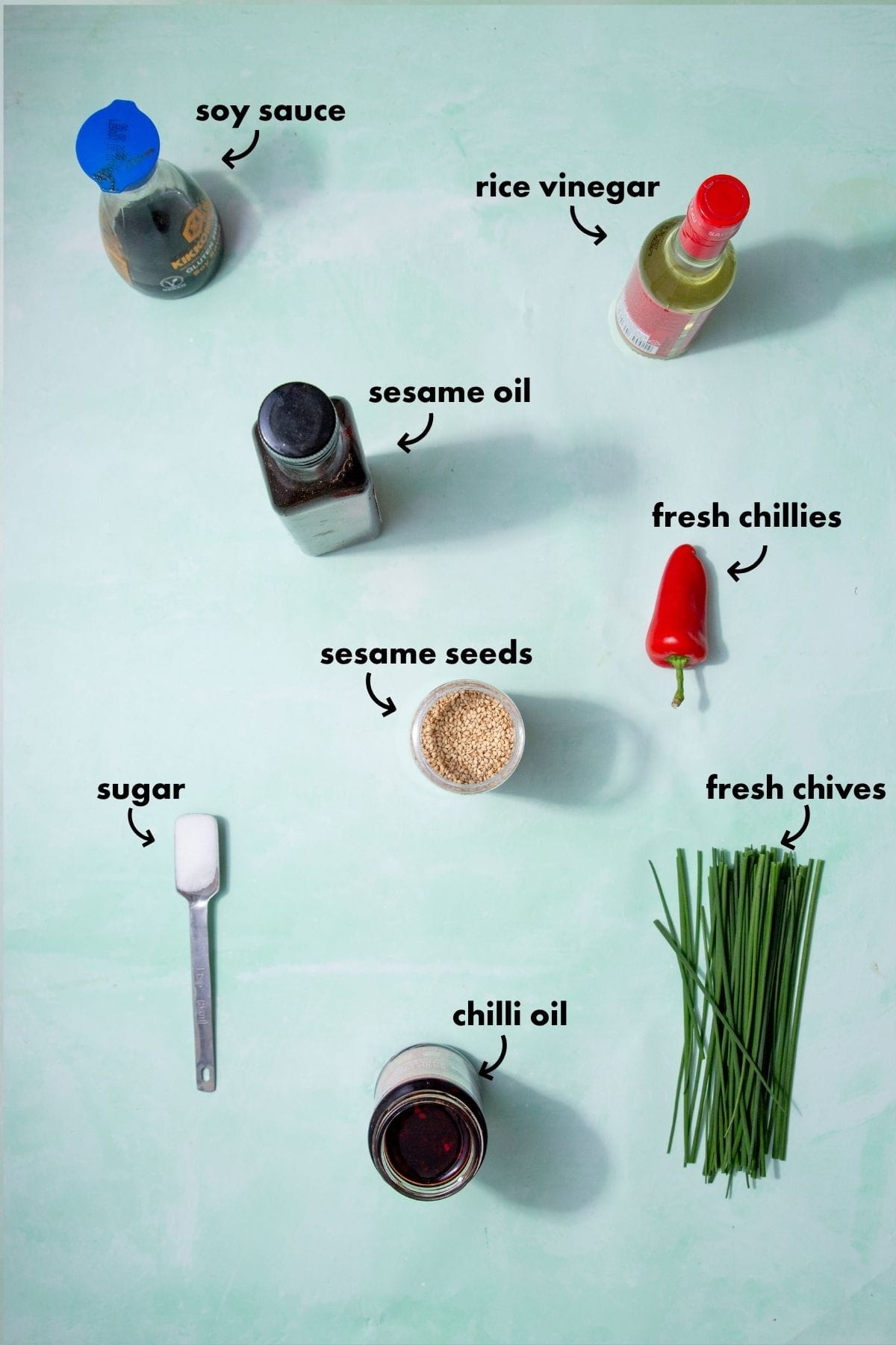 Ingredients for gyoza dipping sauce on a light background, including soy sauce, rice vinegar, sesame oil, chilli oil, sesame seeds, sugar, chillies, and chives.