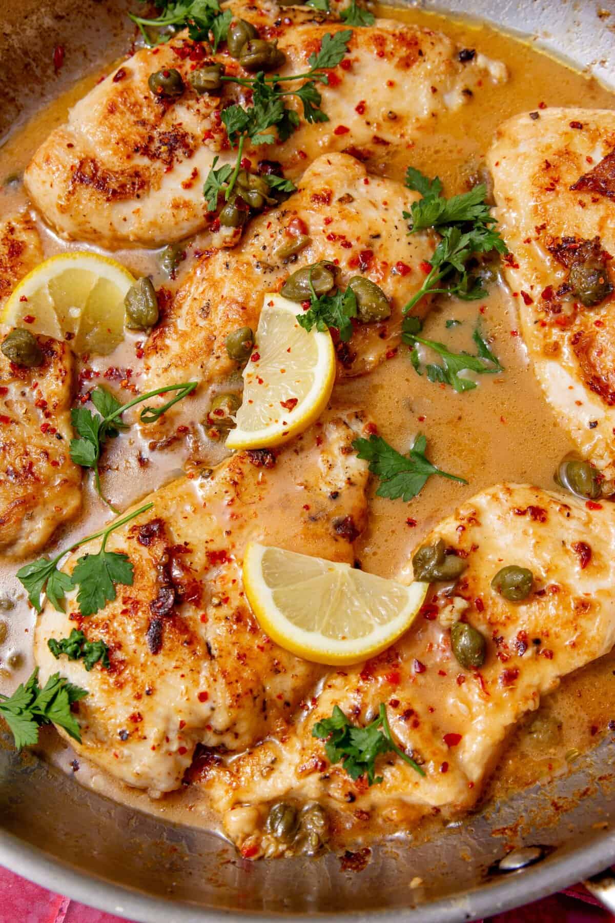 Close-up of chicken piccata in a buttery lemon sauce with capers and fresh parsley.