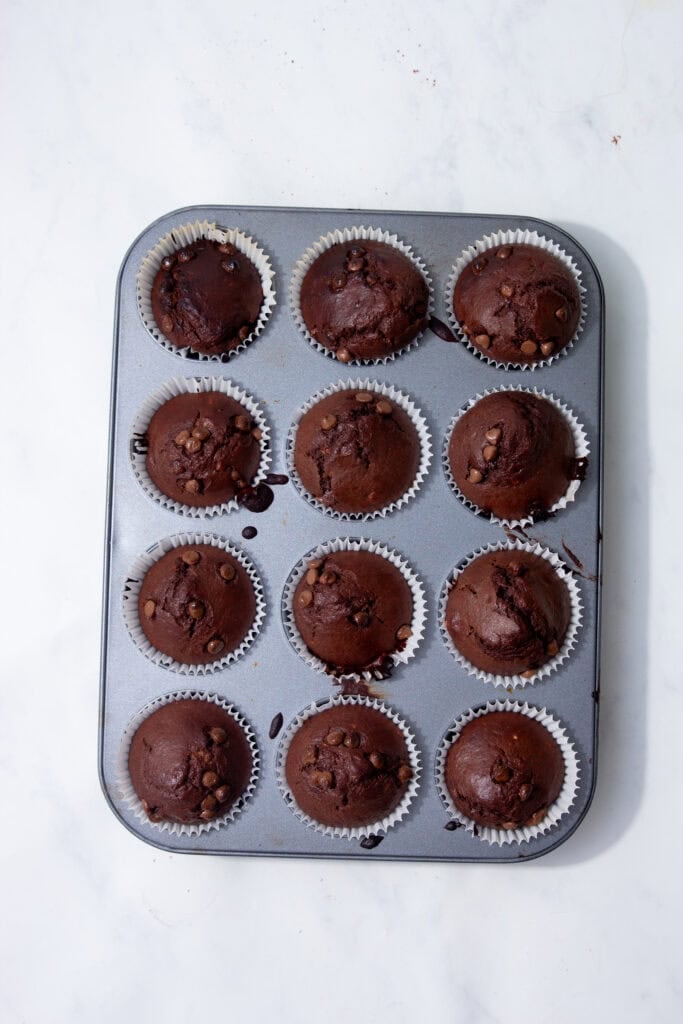  Freshly baked chocolate protein muffins cooling in the tray, ready to serve.