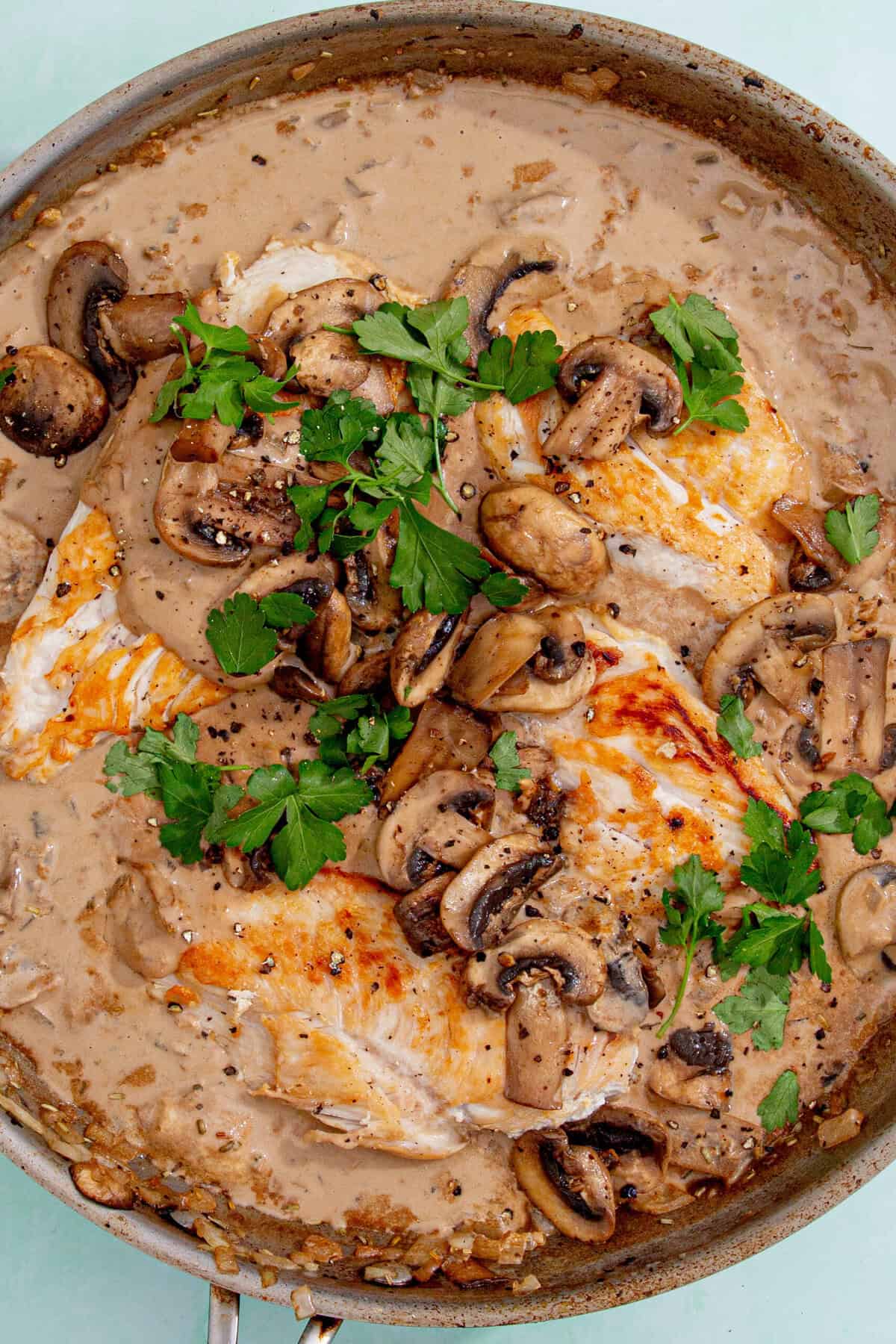 A skillet filled with creamy mushroom sauce, sautéed mushrooms, and golden browned chicken breasts—this cream of mushroom chicken is garnished with fresh parsley.