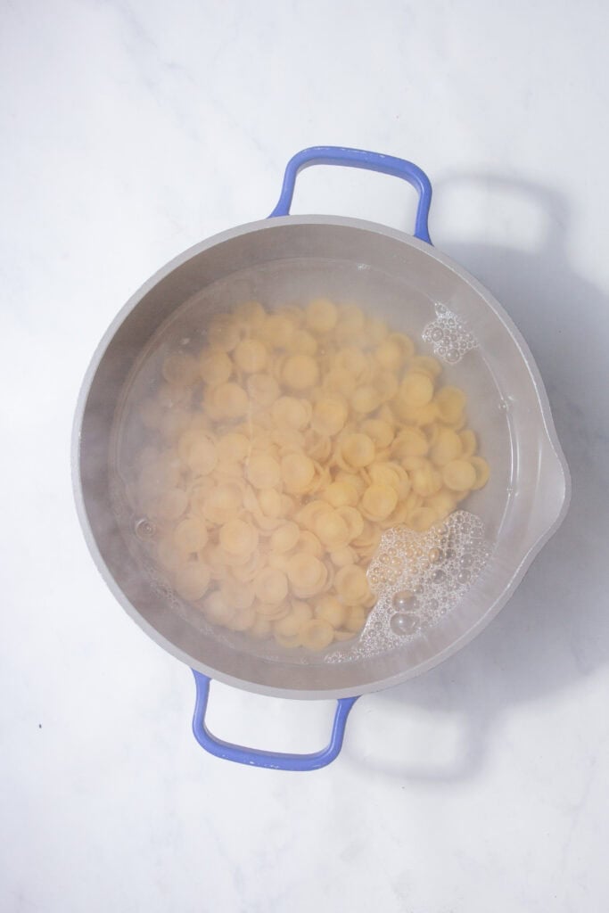 Boiling orecchiette pasta in a pot of salted water.