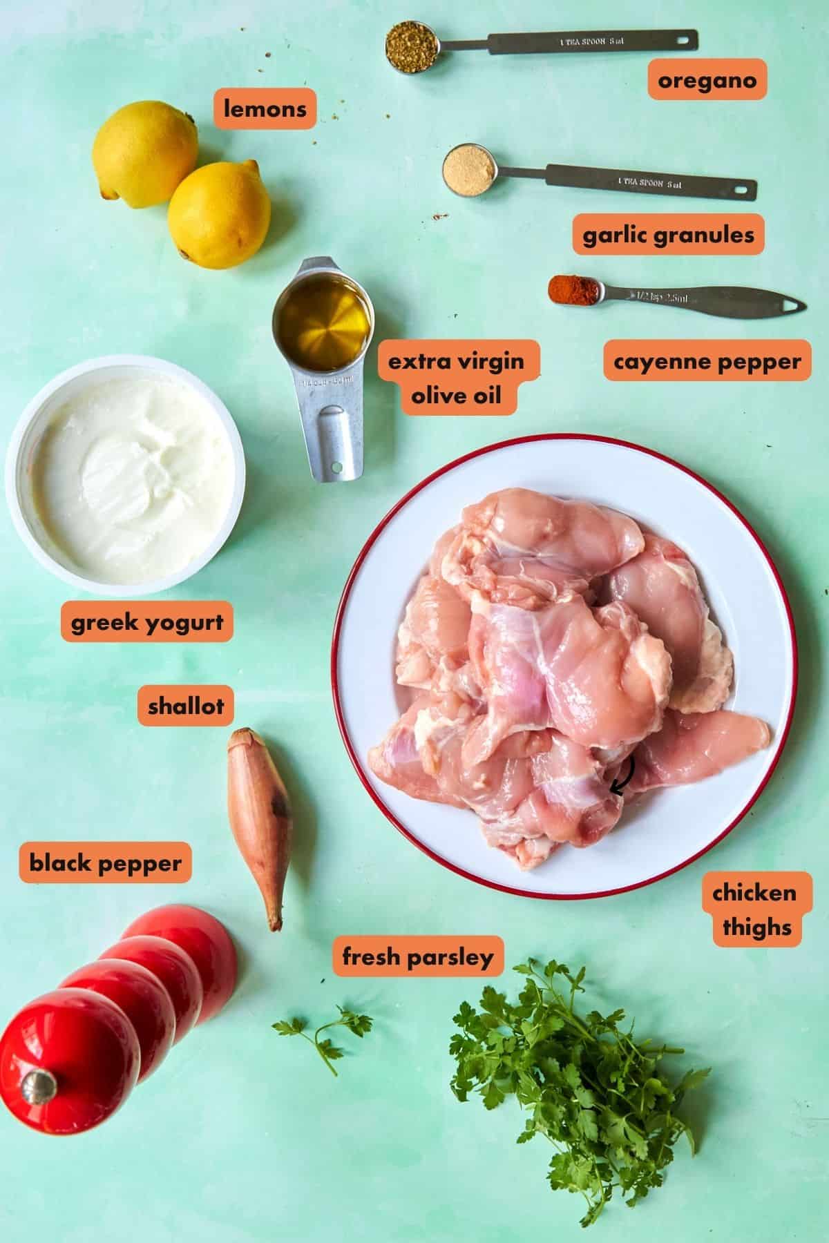 A flat lay of ingredients for a recipe on a green background: lemons, oregano, garlic granules, cayenne pepper, extra virgin olive oil, Greek yogurt, shallot, black pepper, fresh parsley, raw chicken thighs, and Roasted Corn.