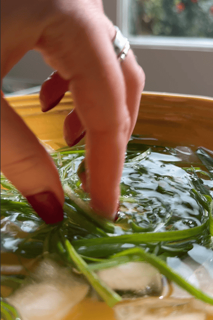 A hand with painted nails and a ring submerges sprigs of fresh rosemary into a yellow bowl filled with ice water, while mango sticky noodles sit nearby, with a window and greenery visible in the blurred background.