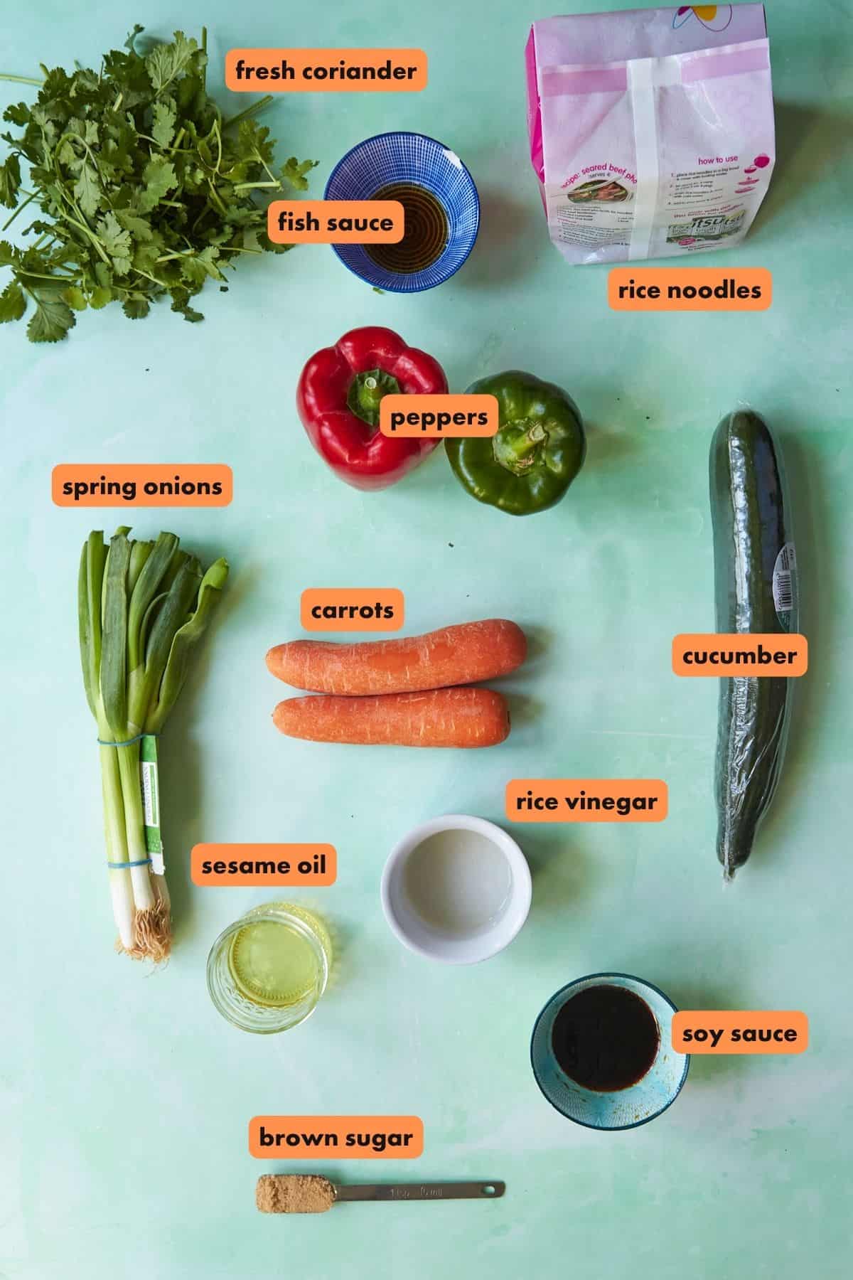 A flat lay of ingredients on a green background, labeled: fresh coriander, roasted corn, fish sauce, rice noodles, spring onions, peppers, carrots, cucumber, sesame oil, rice vinegar, soy sauce, and brown sugar.