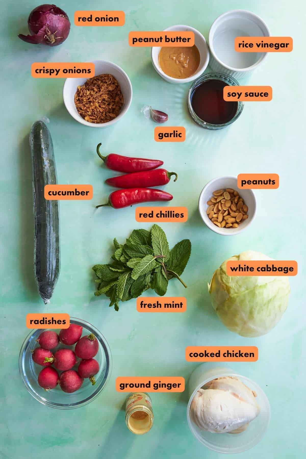 A flat lay of labeled ingredients for Peanut Chicken Cabbage Salad on a green surface, including red onion, crispy onions, cucumber, radishes, mint, peanut butter, rice vinegar, soy sauce, garlic, peanuts, white cabbage, and cooked chicken.