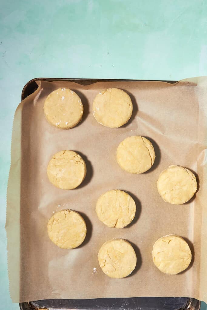 A baking sheet lined with parchment paper holds nine round, unbaked shortcake biscuits, evenly spaced on a turquoise background.