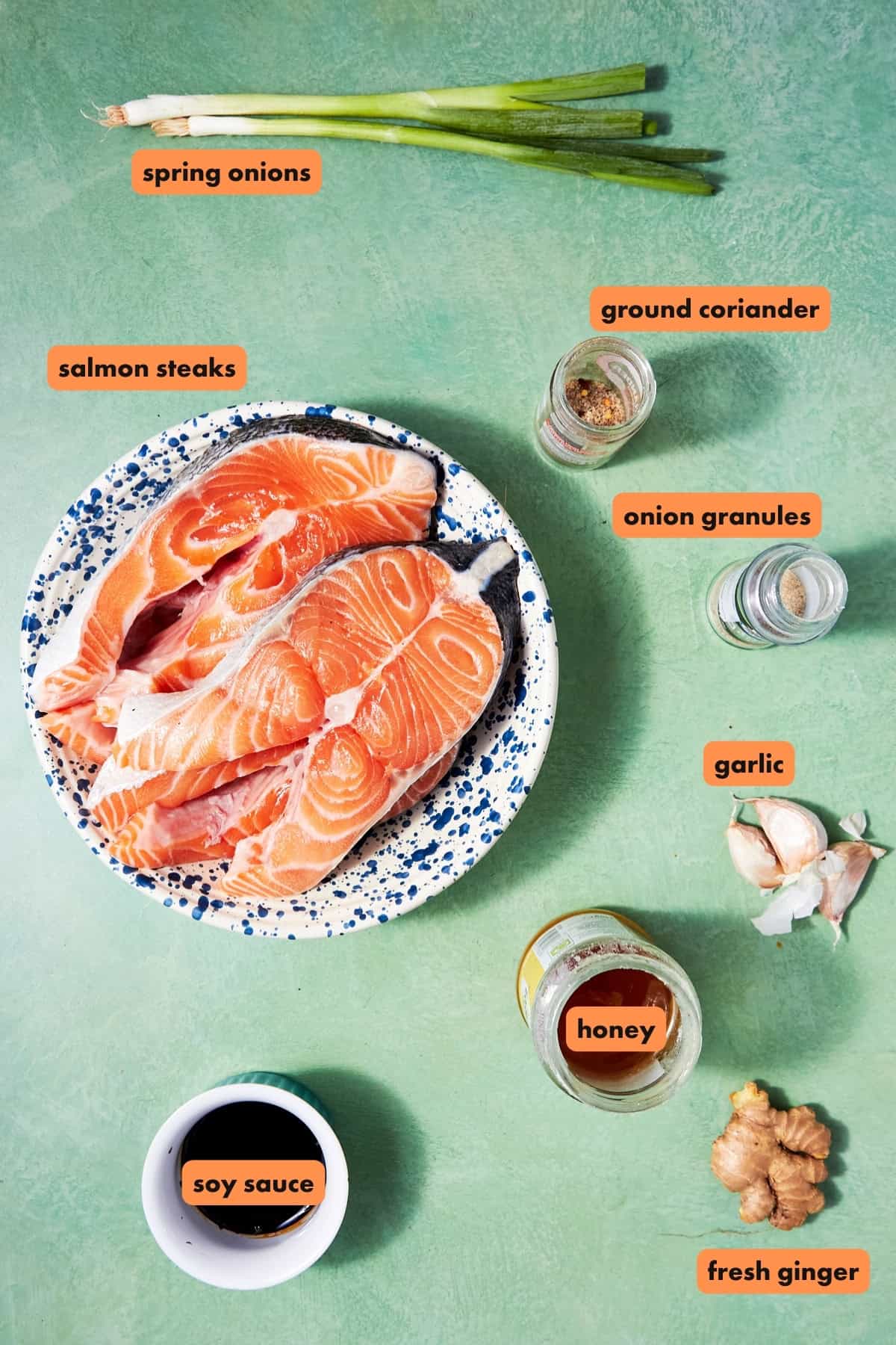 A top-down view of labeled ingredients for Oven Baked Salmon Steaks on a green surface: salmon steaks on a plate, spring onions, ground coriander, onion granules, garlic cloves, honey, soy sauce, and fresh ginger.