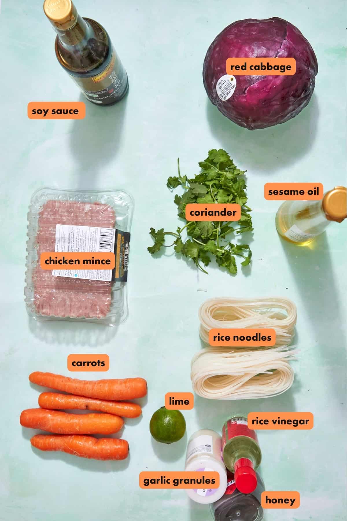 Top-down view of various labeled ingredients on a light surface, including soy sauce, red cabbage, coriander, sesame oil, chicken mince, carrots, lime, roasted corn, rice noodles, rice vinegar, garlic granules, and honey.