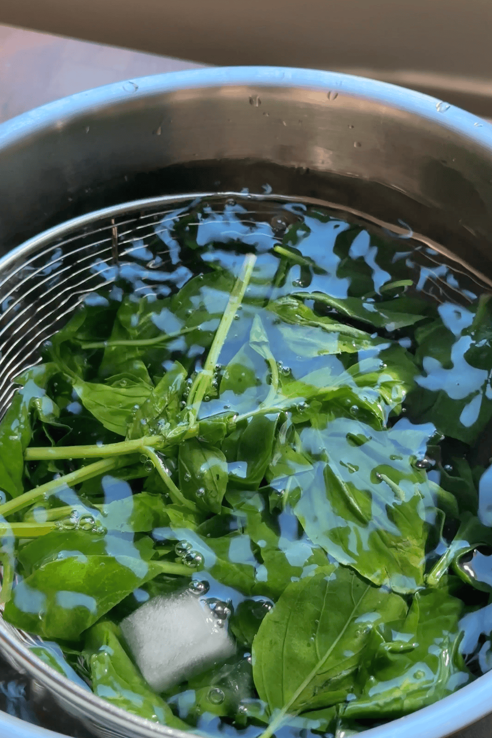 Fresh green leafy herbs soaking in a large bowl of clear water, with some stems visible. Perfect for pairing with roasted corn or adding freshness to your cooking.