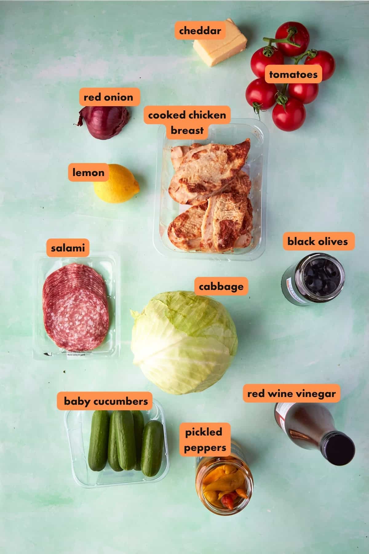 A flat lay of labeled food items: cheddar, tomatoes, red onion, cooked chicken breast, lemon, salami, black olives, cabbage, baby cucumbers, pickled peppers, and red wine vinegar on a light green background.