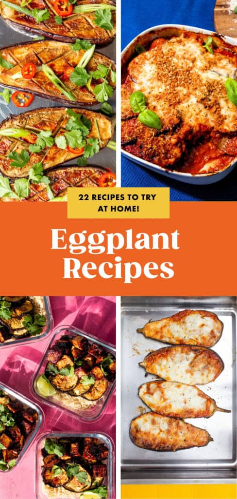 A collage of eggplant dishes, including stuffed, baked, and roasted recipes, with text overlay: 22 Eggplant Recipes to Try at Home! Delicious eggplant recipes on a colorful background.