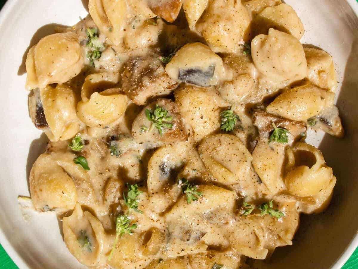 Vegan Mushroom Stroganoff with conchiglie pasta, vegan mushroom sauce topped with fresh thyme in a white bowl on a green background.