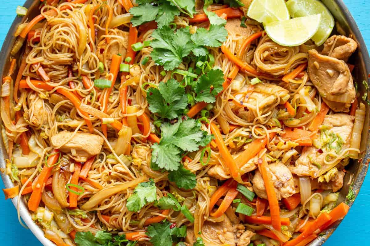 Close up shot of Chicken vermicelli