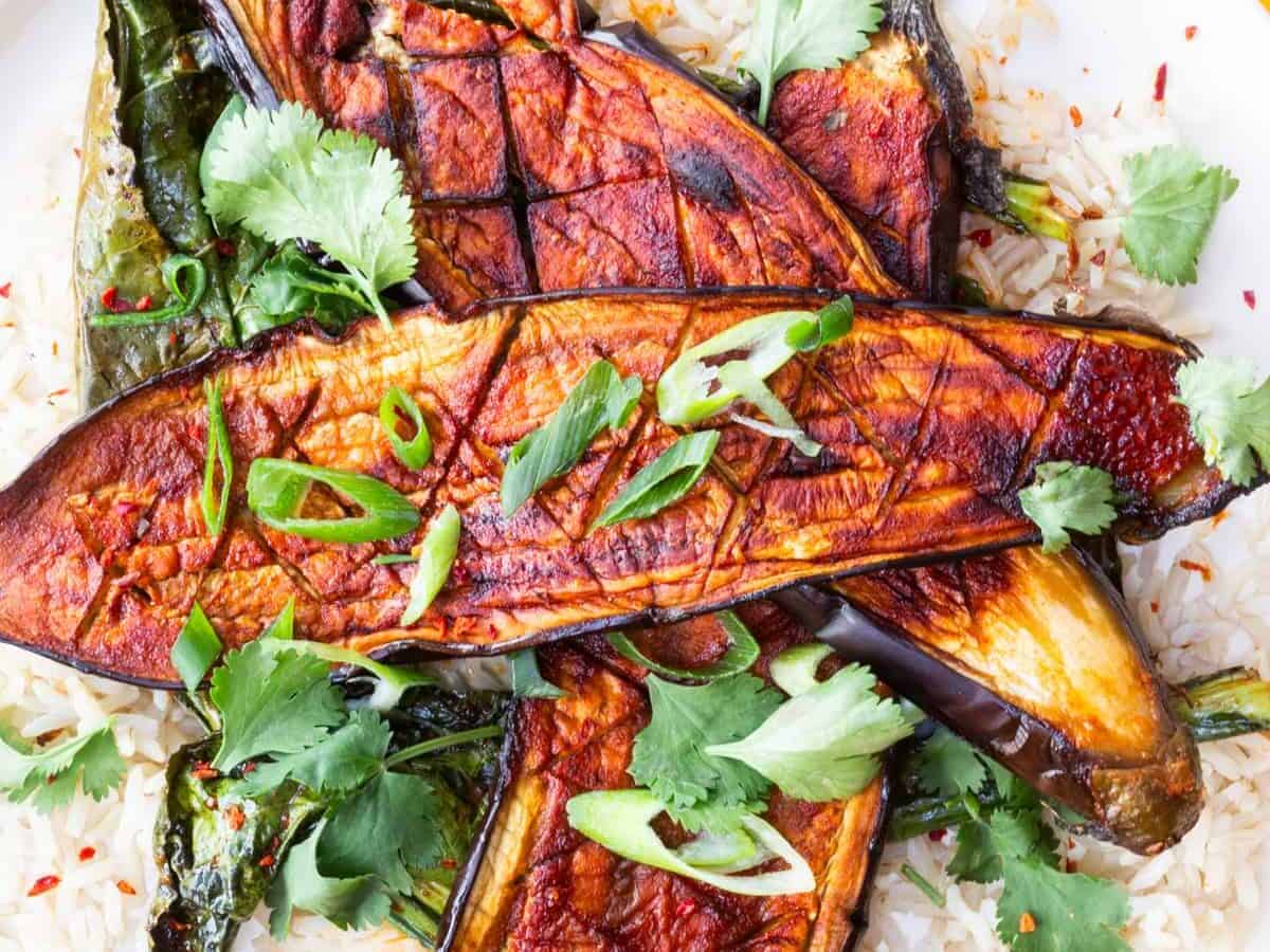 Roasted eggplant halves with scored tops, garnished with green onions and cilantro, served on a bed of rice with leafy greens.